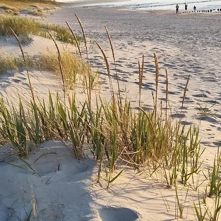 Lägenhet Wspanialy & Nad Morzem Dziwnów