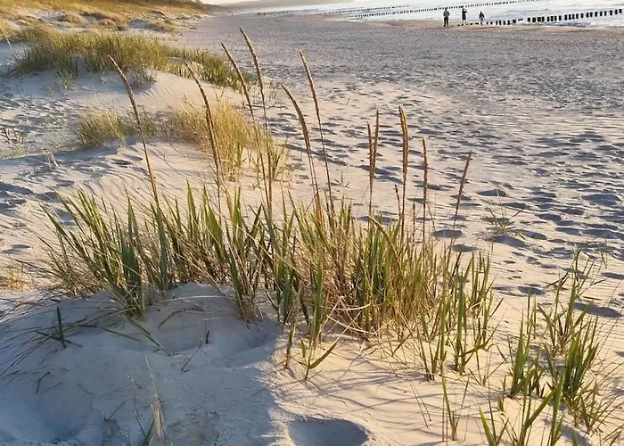 Lägenhet Wspanialy & Nad Morzem Dziwnów