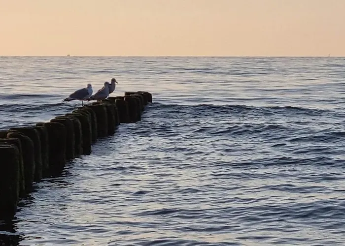 Lägenhet Wspanialy & Nad Morzem